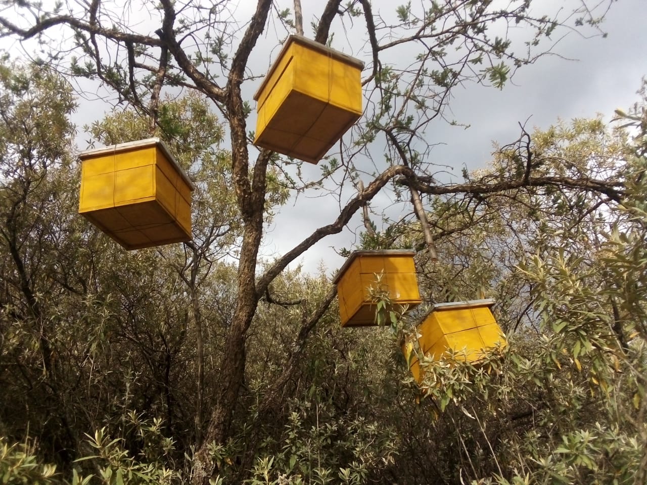 Life skills training program